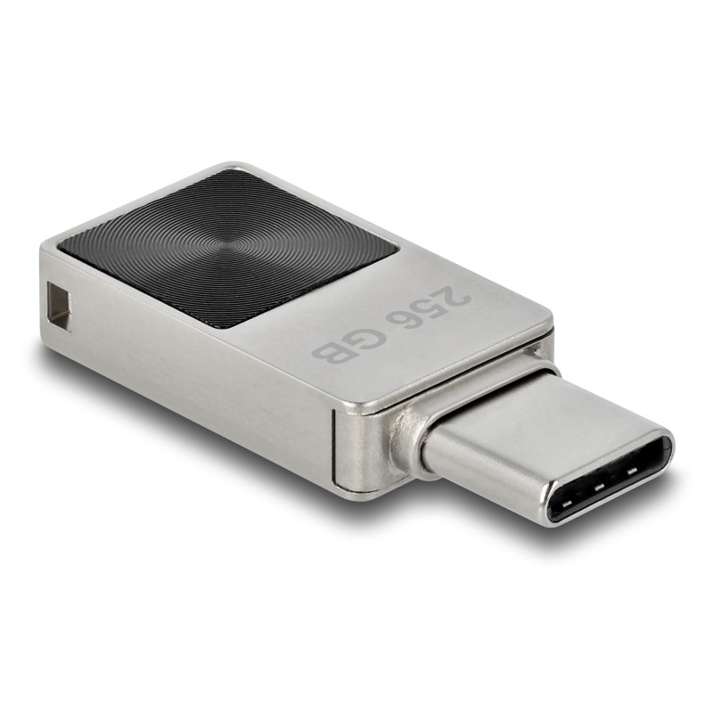 USB-Flash-Laufwerk - 256 GB - USB-C